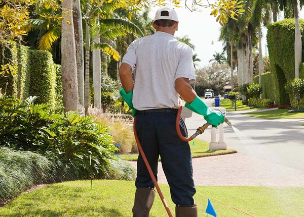 About Prattsville AR Pest Control Pros